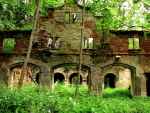 Tajemnicze ruiny pod zamkiem Grodno ukryte w lesnej gestwinie
